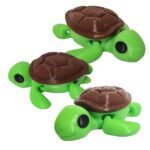 Turbo - La Tortuga Marina